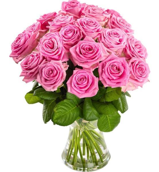 20-pink-roses