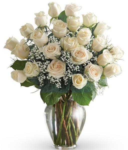 24-white-roses