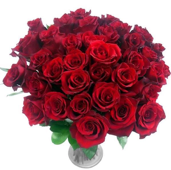 36-red-roses