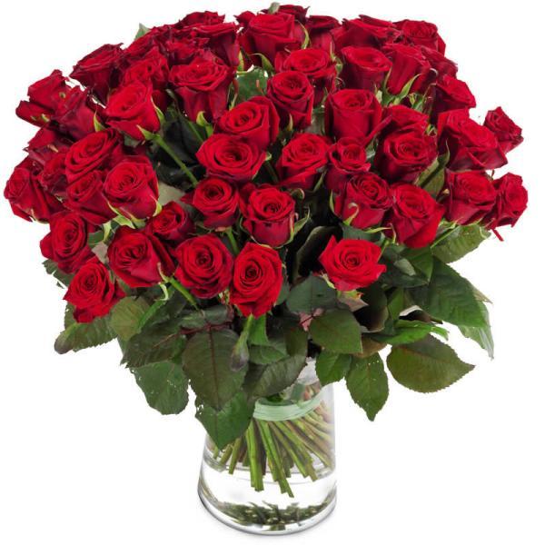50-red-roses
