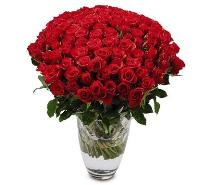 100-red-roses-bouquet