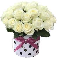 25-white-roses