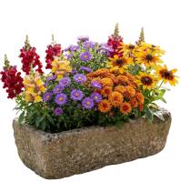 autumn-flair-plant-arrangement