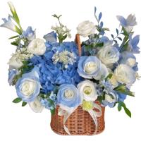 blue-spring