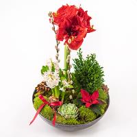 christmas-planter