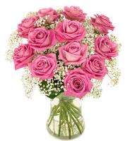 dozen-pink-roses