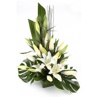 elegant-white-lilies