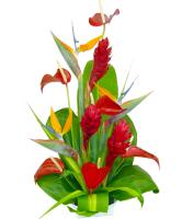 feisty-arrangement-tropical-flowers