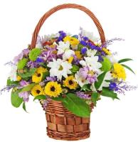 garden-embrace-basket