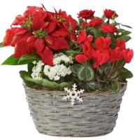 holiday-garden-basket