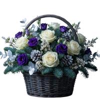 midnight-frost-basket-winter-flowers