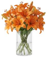 orange-lilies