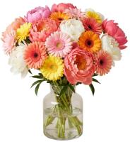 peonies-and-gerberas