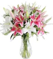 pink-and-white-lilies