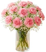 pink-lady-bouquet-pink-carnations