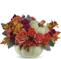 pumpkin-patch-arrangement