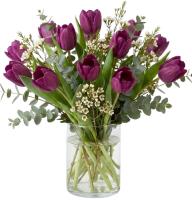 purple-tulips
