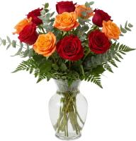 red-and-orange-roses