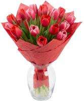 red-and-pink-tulips