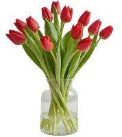 red-tulips