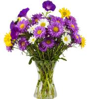 september-dream-bouquet-asters-morning-glory