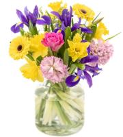 spring-joy