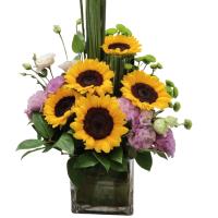 sunflower-dreamscape