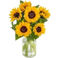 sunflower-joy