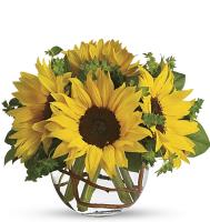 sunflower-sunshine-yellow-sunflowers-bouquet