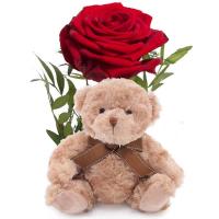 sweetest-single-red-rose-and-teddy