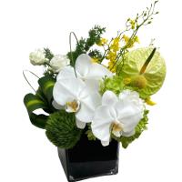 tropical-paradise-arrangement