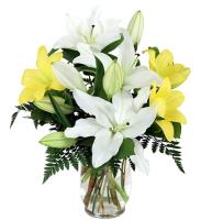 white-and-yellow-lilies