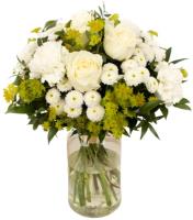 white-radiance