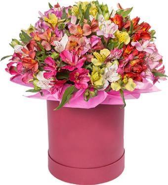 alstroemeria-gift-box