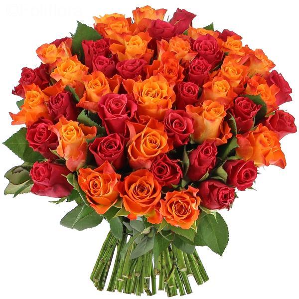 amazing-red-and-orange-roses