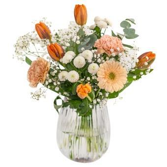 apricot-delight