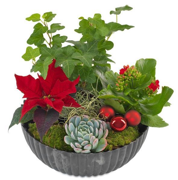 christmas-planter