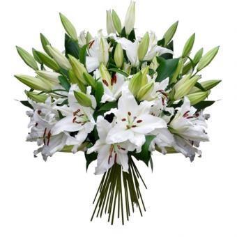 elegant-white-lilies