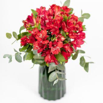 festive-alstroemeria