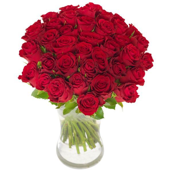 forty-red-roses