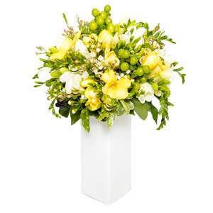 fragrant-delight-yellow-white-flowers