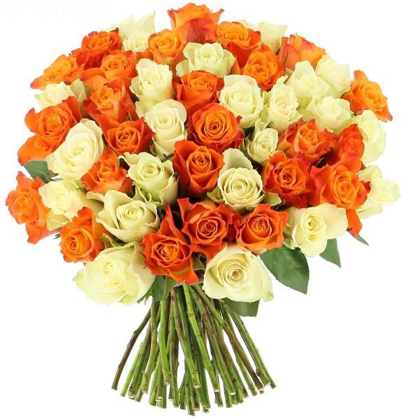 gaiety-50-roses-orange-white