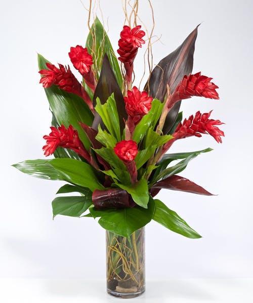 ginger-beauty-tropical-flowers