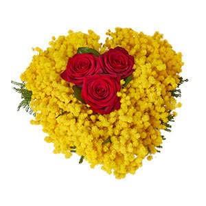 heart-surprise-red-roses-mimosa