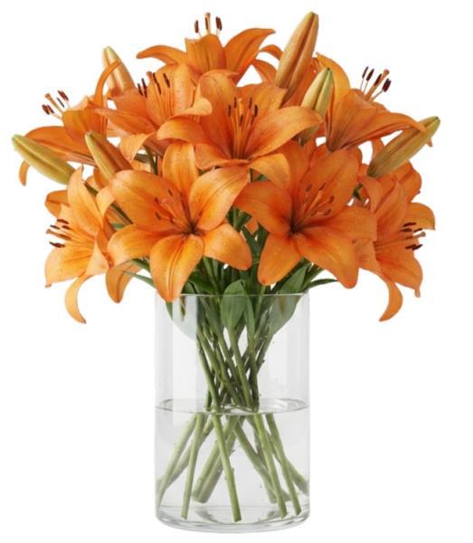 orange-lilies