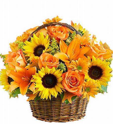 orange-sun-basket