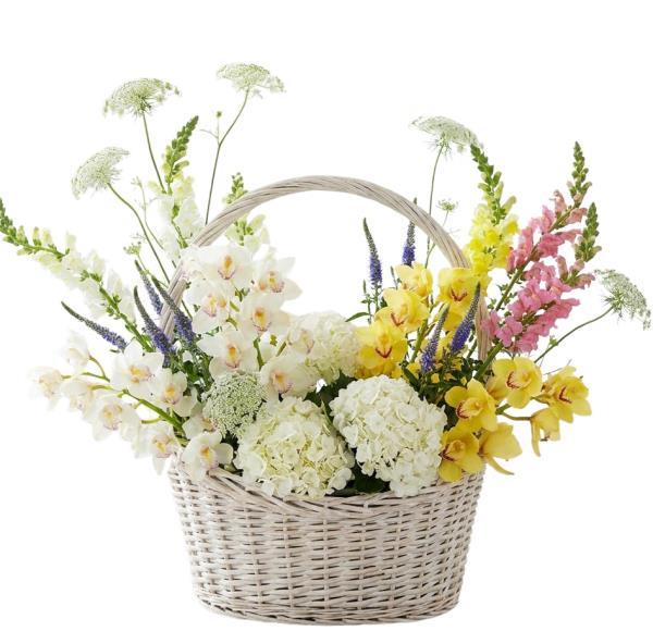 panorama-luxury-flowers-basket-arrangement-orchids