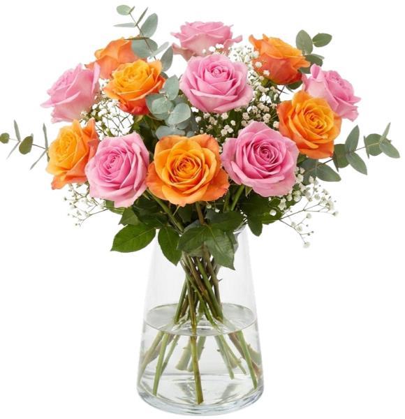 pink-and-orange-roses