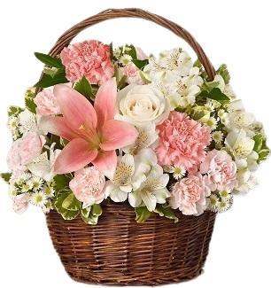 pink-and-white-basket