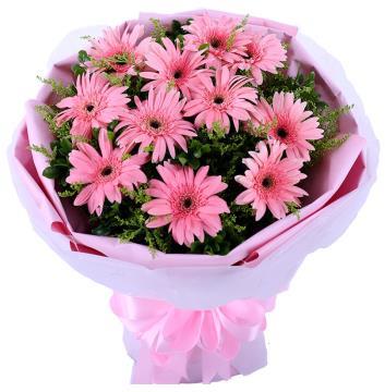 pink-gerberas